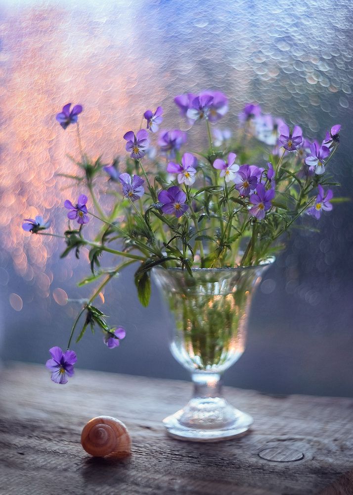 На рассвете