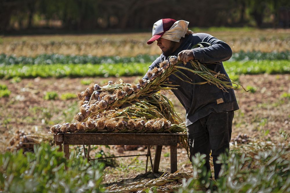 Photograph by César Gustavo Ruiz