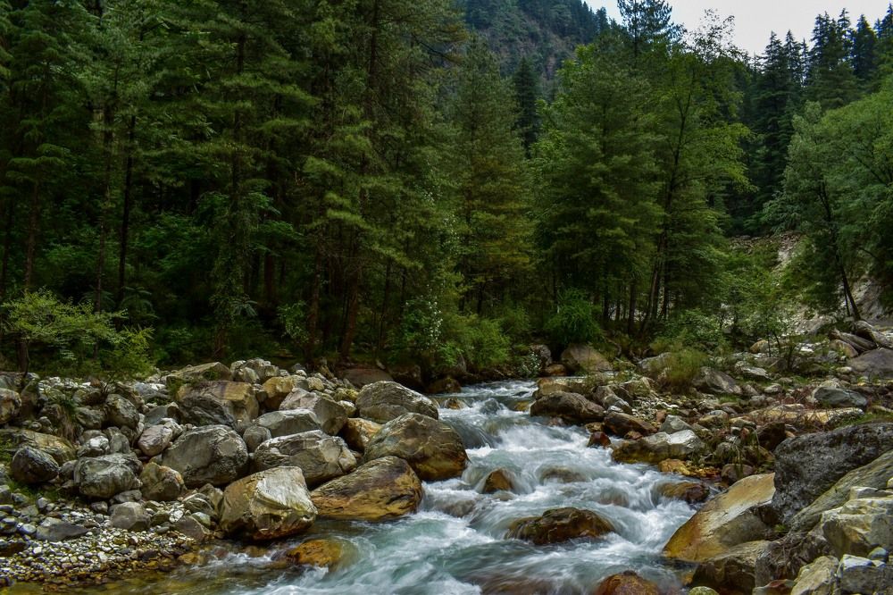 Photograph by Rajesh Dey