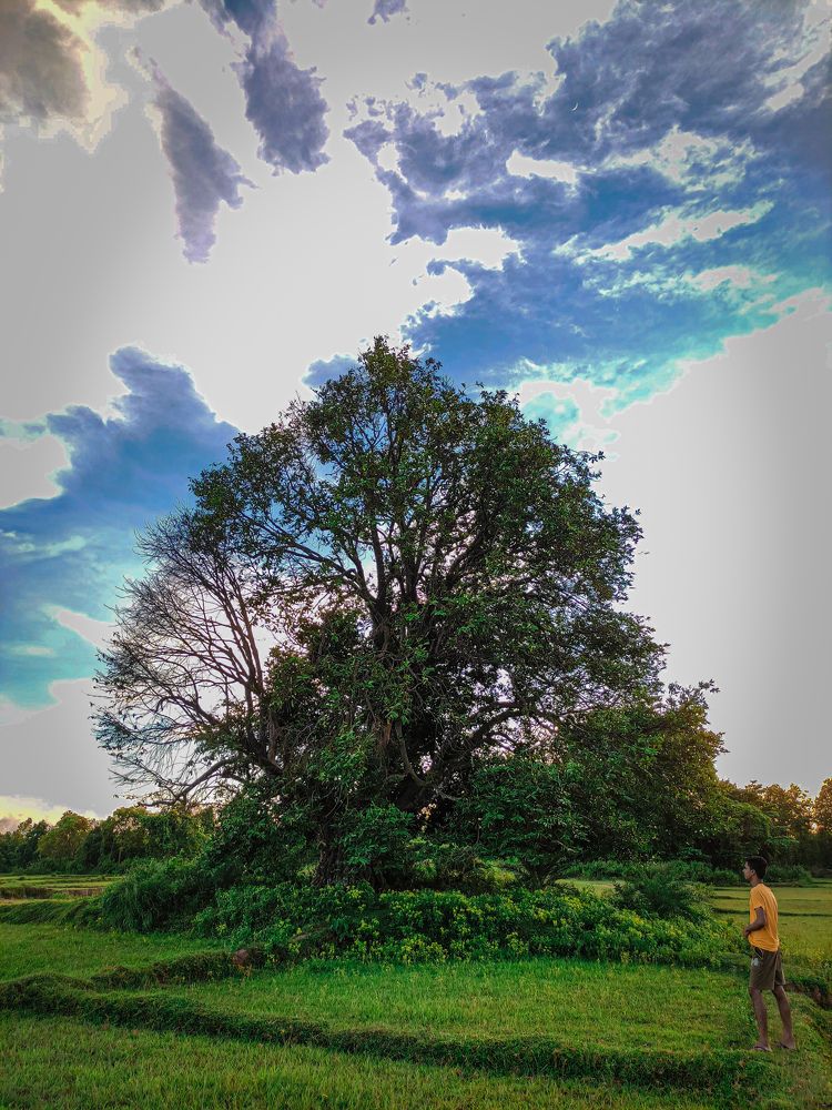 Photograph by Manotosh Parta