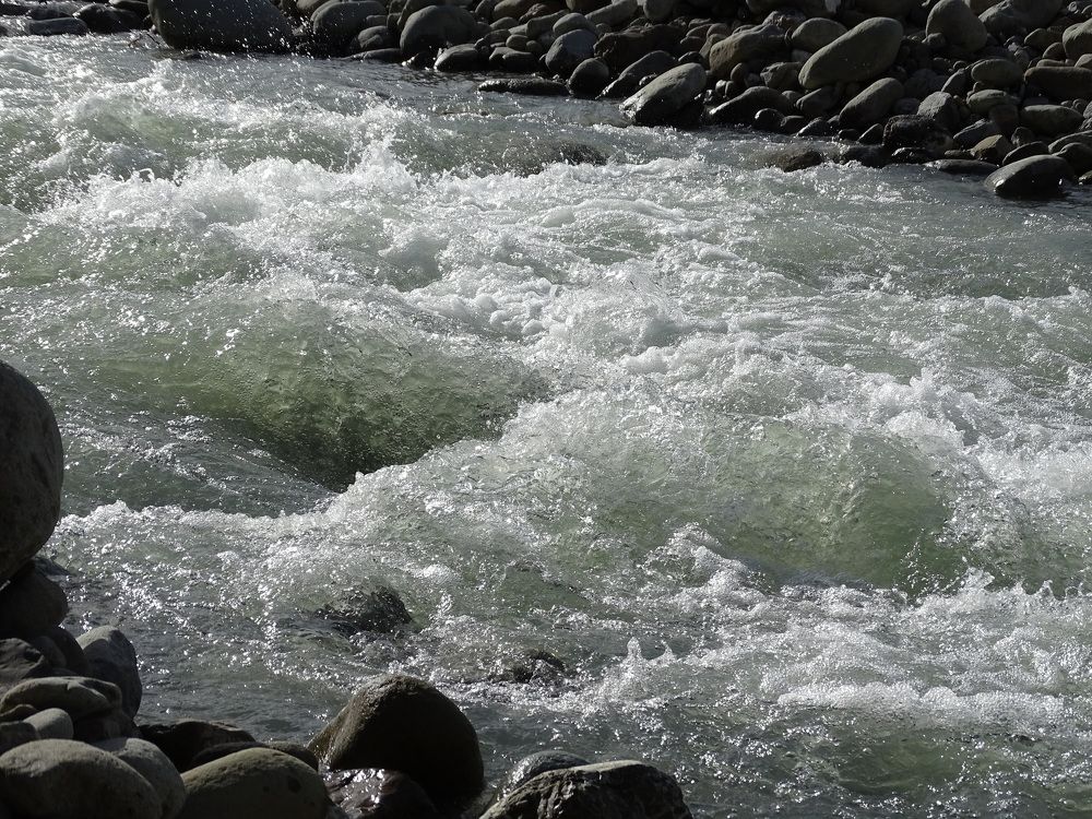 Photo #6305954