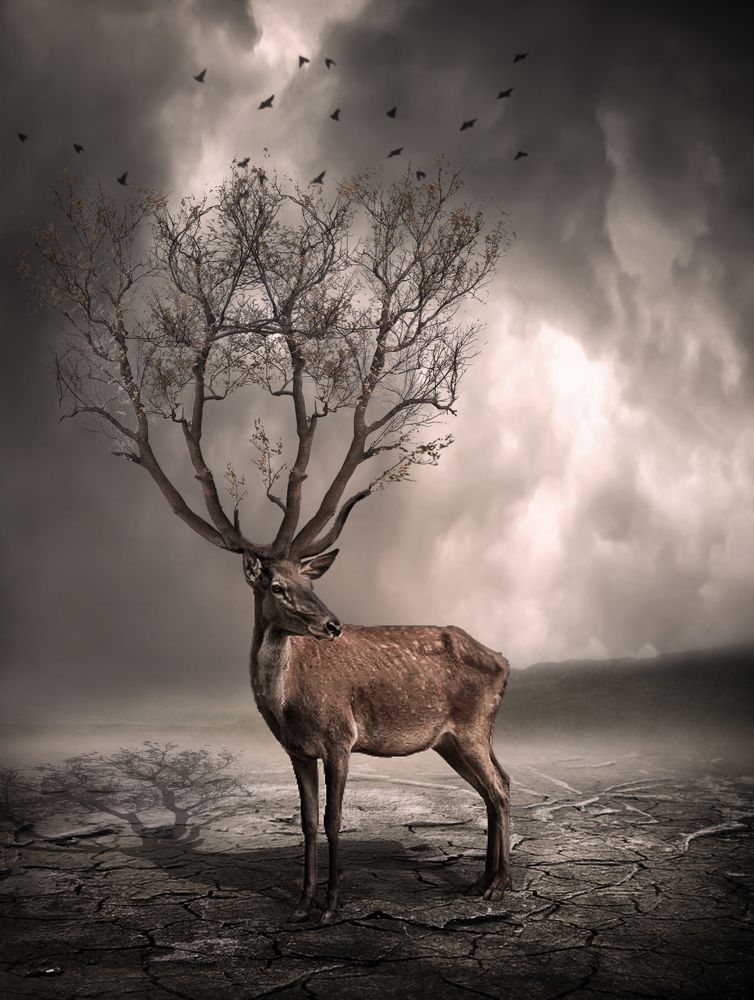 Фотография автора bahram pourshahbazi