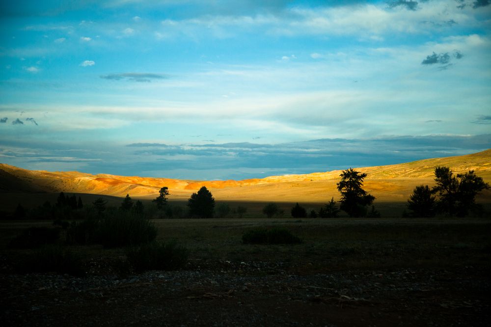 Photograph by Виктория Хадкевич