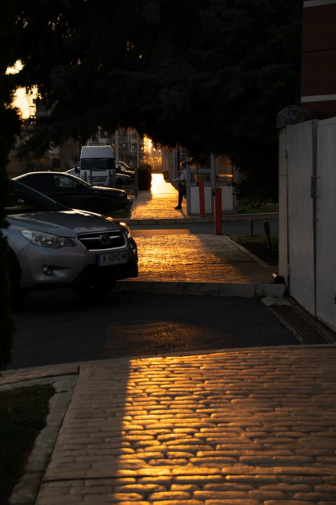 Фотография автора Галина Лоскутова