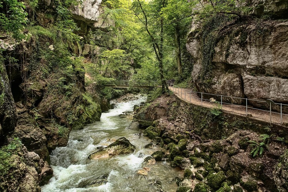 Photograph by Elena Gebert