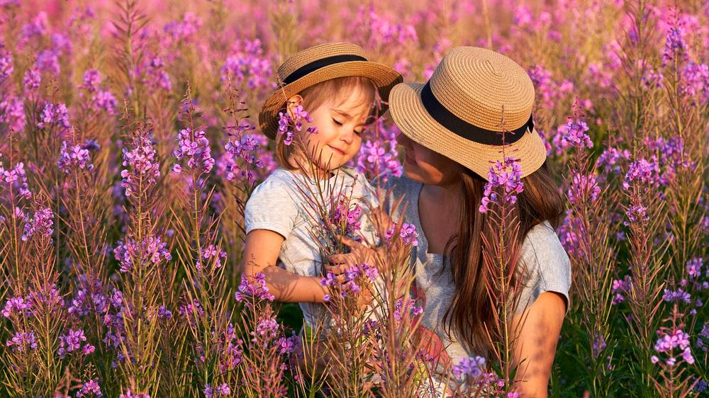 В иван-чаевом поле