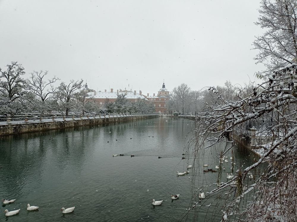 Photograph by Julio Medina