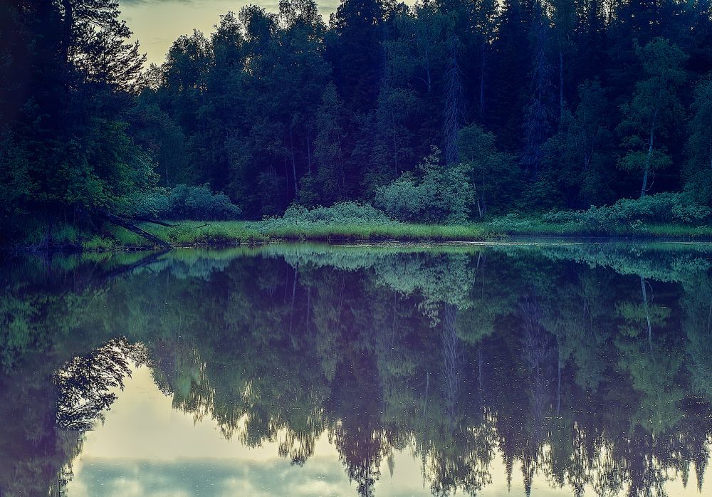 Фотография автора Виктория Шаманова