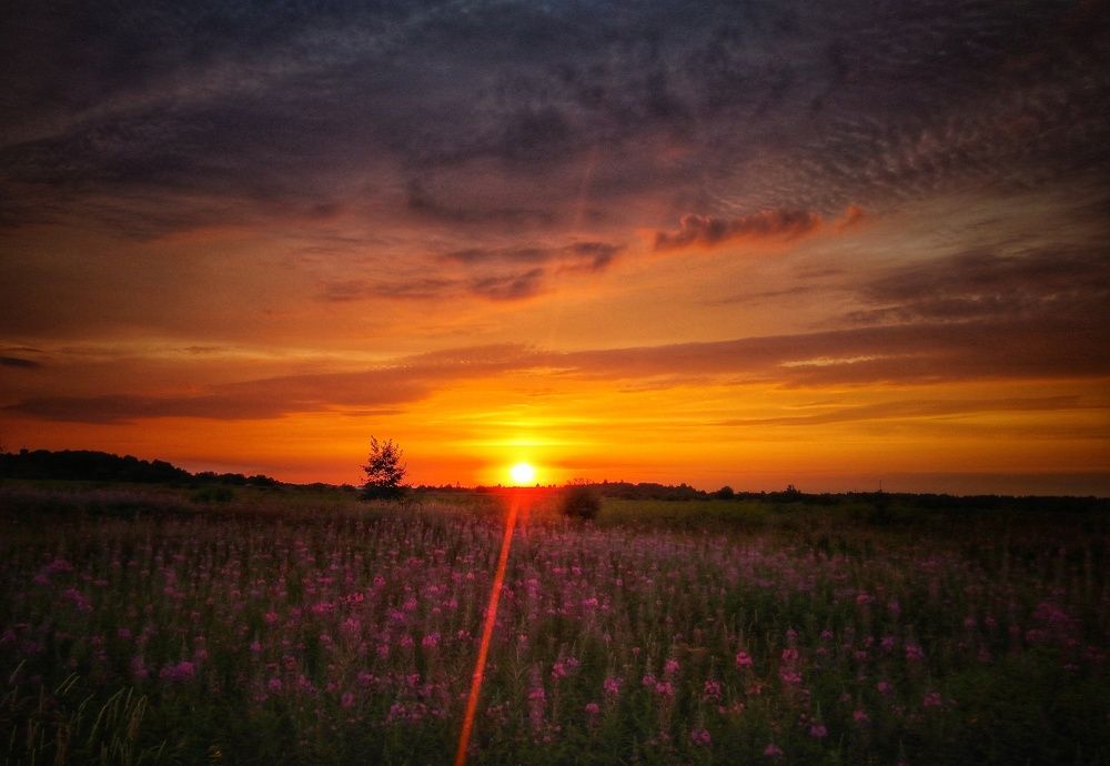 Фотография автора Виктор Конев