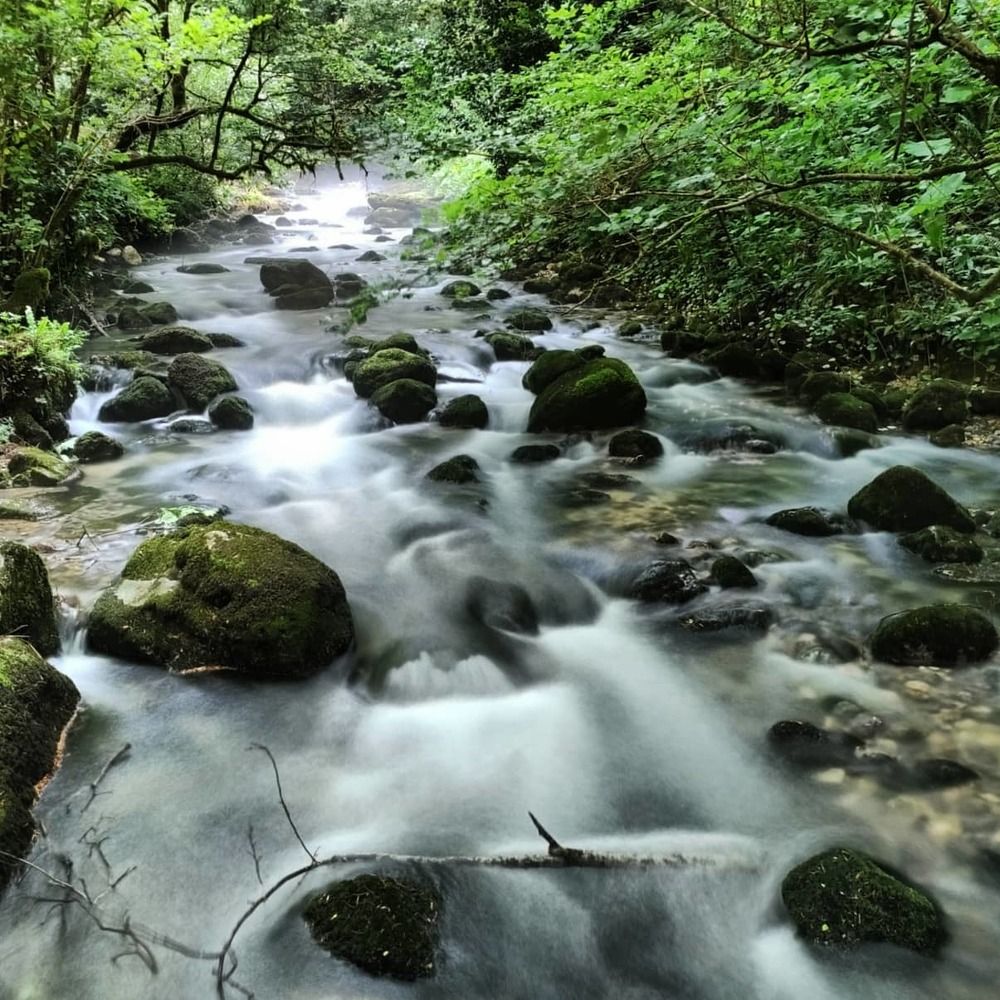 Photograph by Екатерина Иваненко