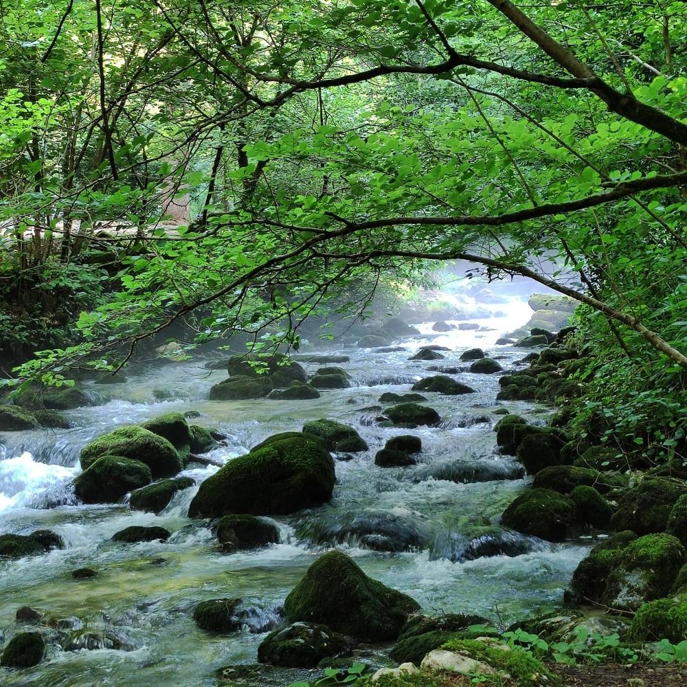 Photograph by Екатерина Иваненко