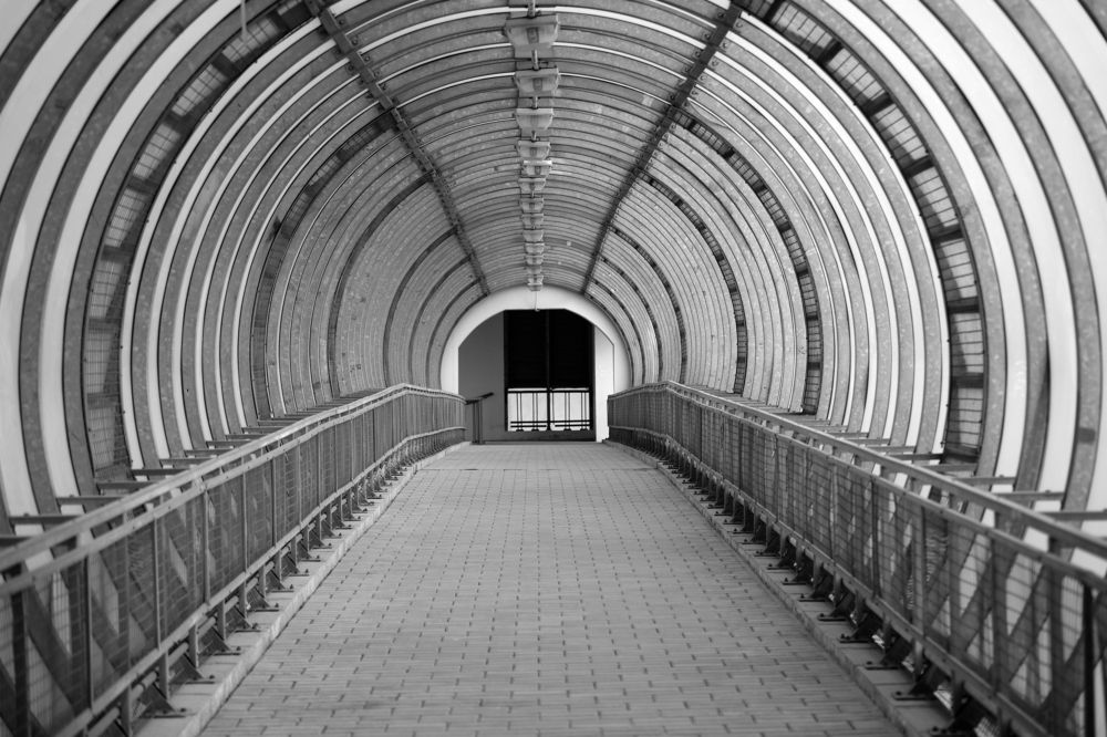 Photograph by Михаил Серебренников