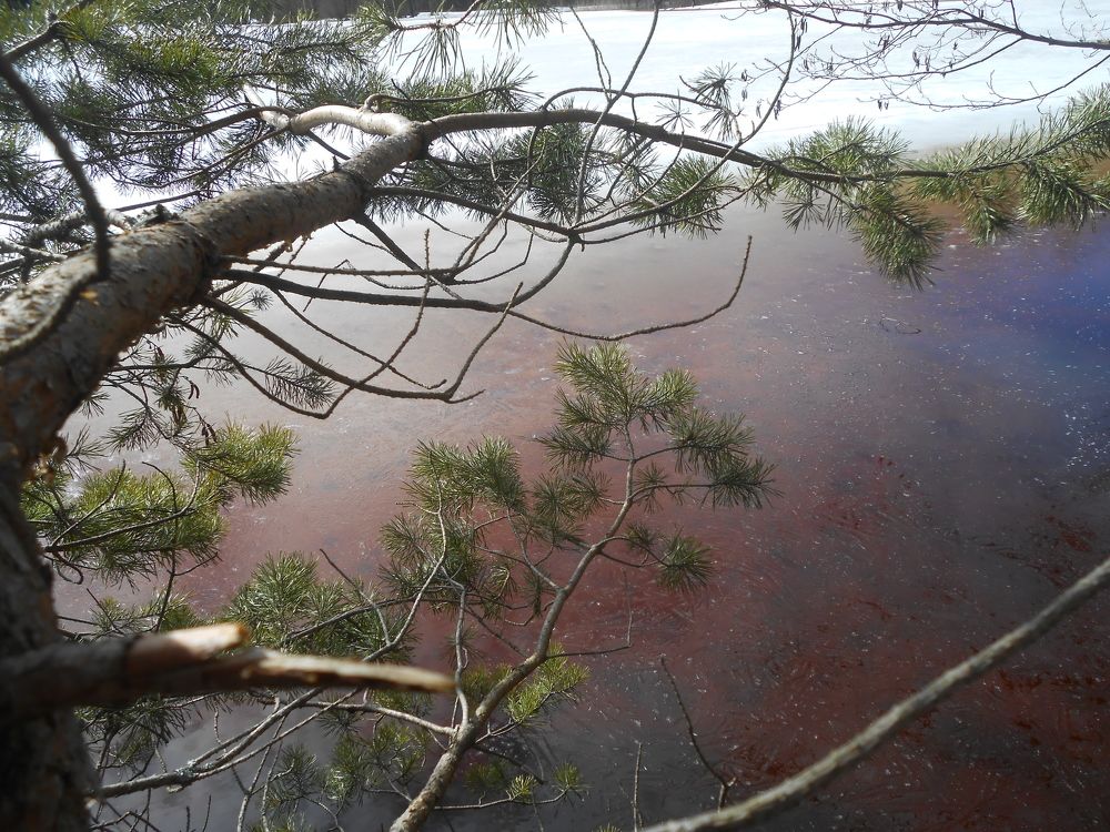 Photograph by Ольга Попова