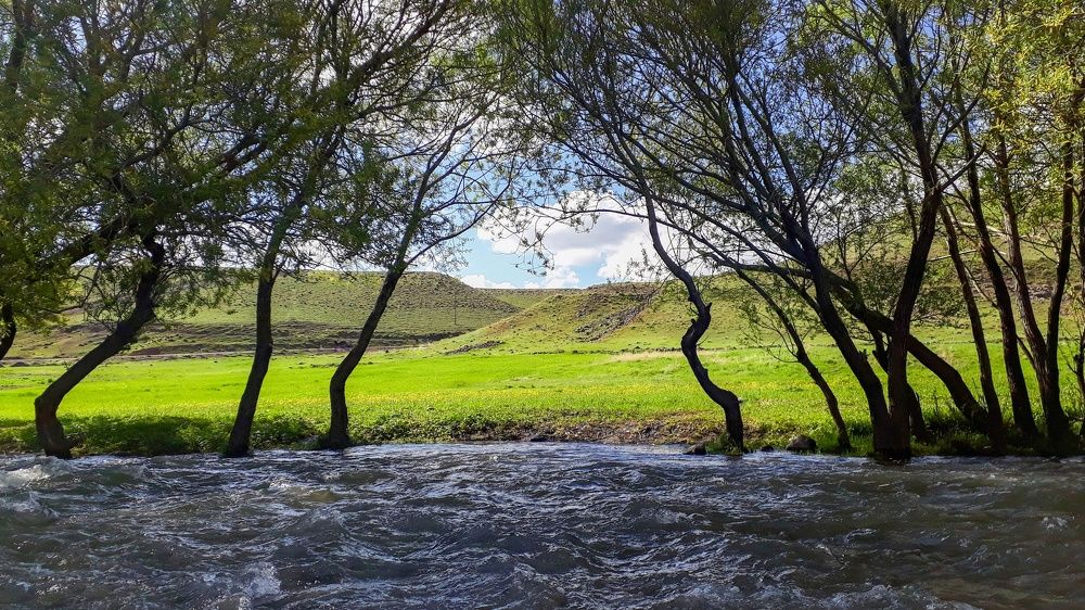 Photograph by Mohammad Amin Karimi