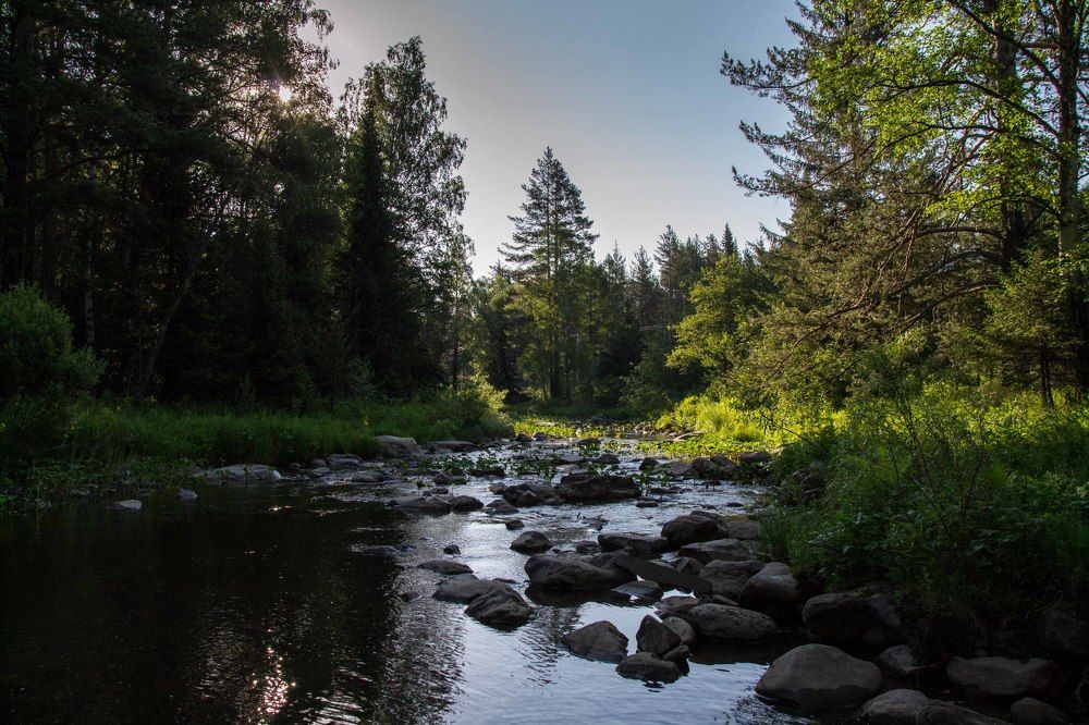 Photograph by Евгения Антропова