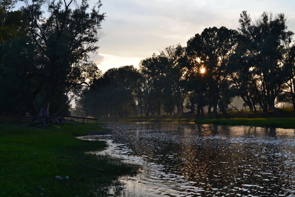 Photograph by Евгения Антропова