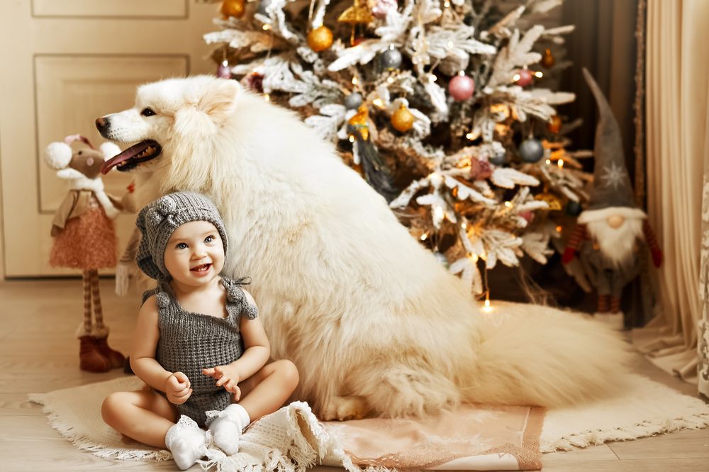 Photograph by Анастасия Алексеева