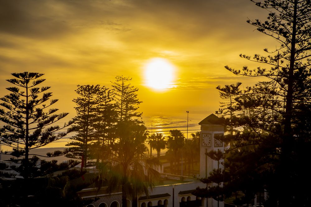 Photograph by Katja Sen