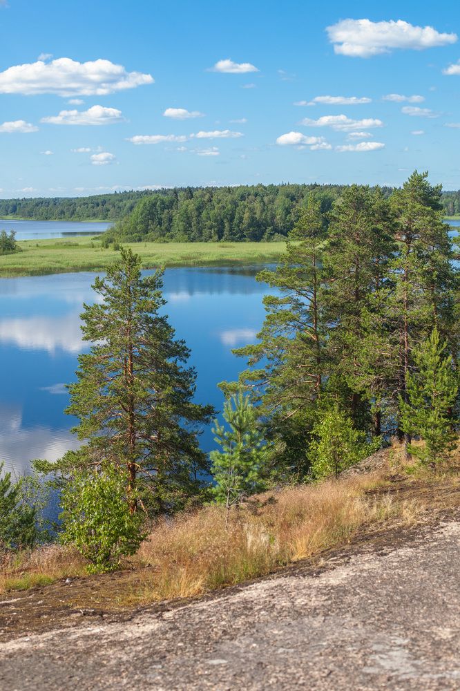 Фотография автора Anna