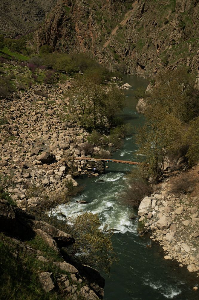 Photograph by shahoo moradi