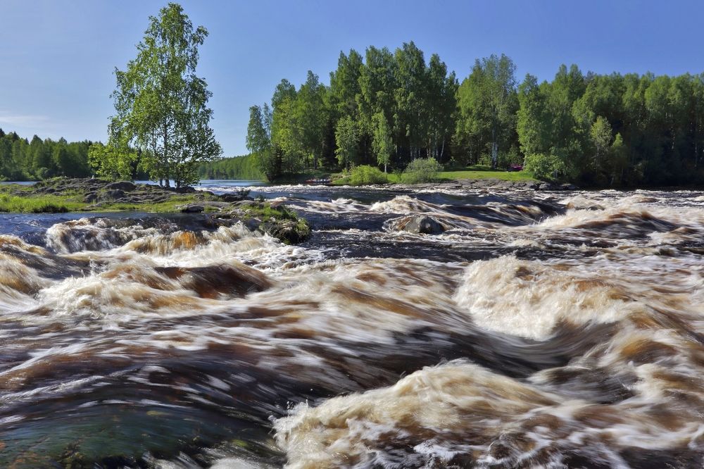 Большой Толли.