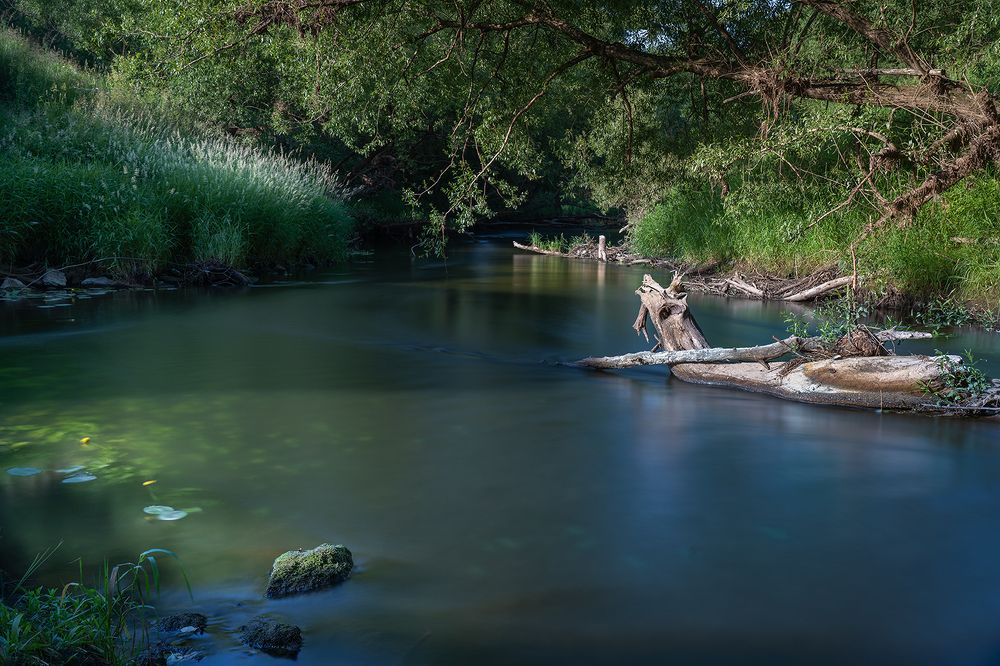 Фотография автора ЯR Ольга