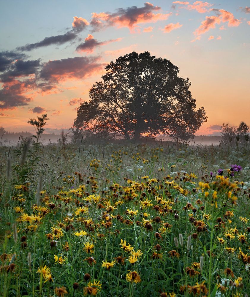 Photograph by Олег Фокин