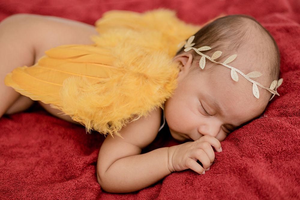 Фотография автора Ravindu Heshan Weerasinghe Pathirana