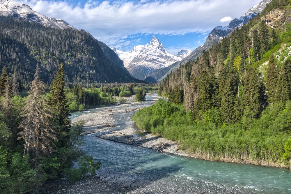 Photograph by Николай Цветков