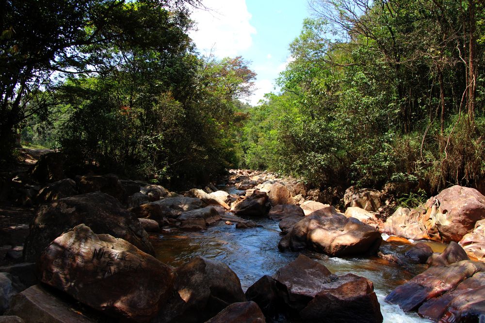 Photograph by Tatiana Barthem