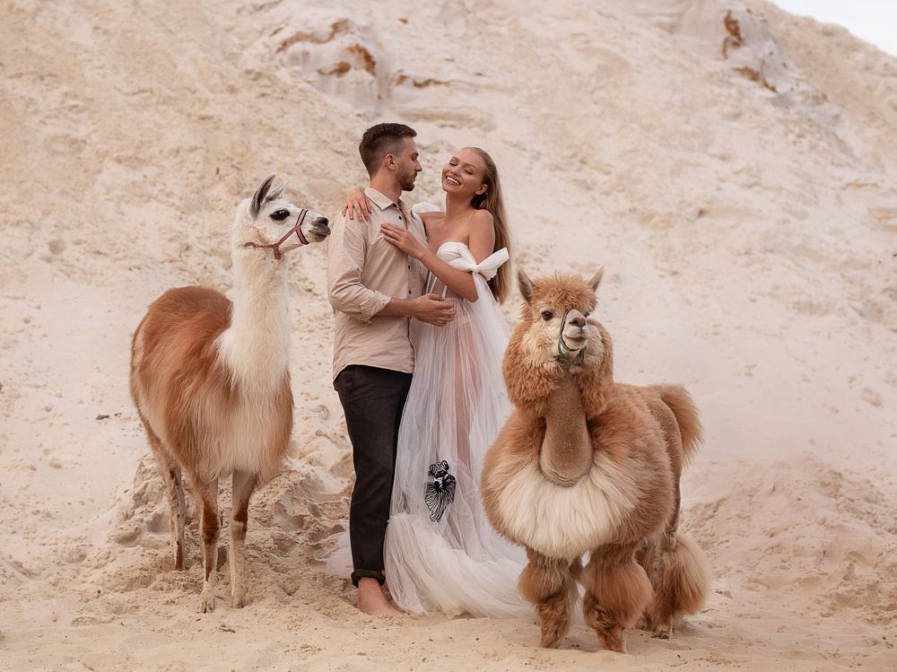 Photograph by Владимир Гордеев