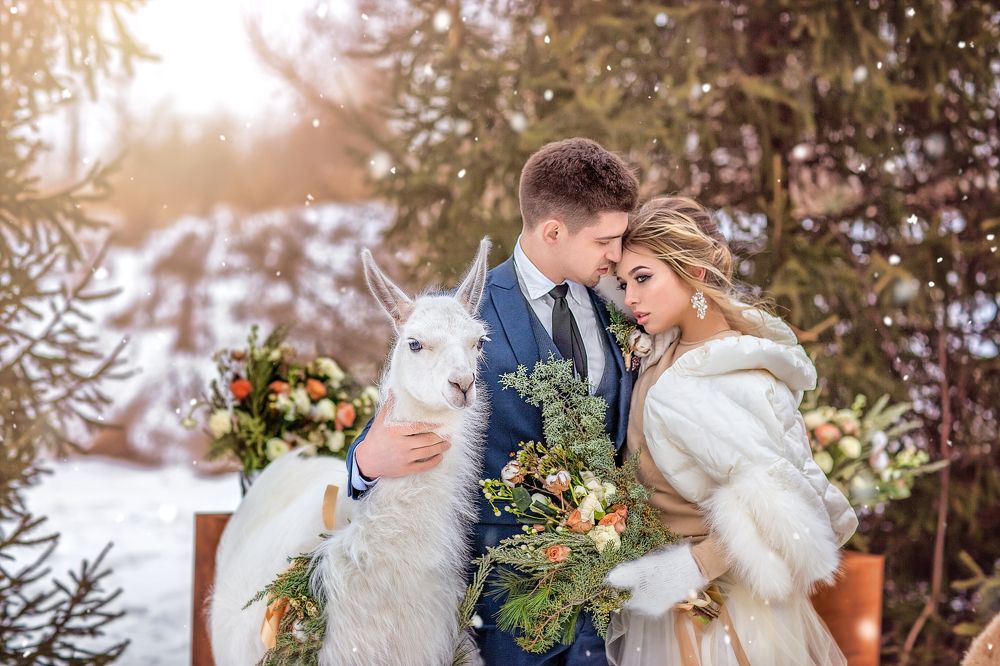 Photograph by Владимир Гордеев