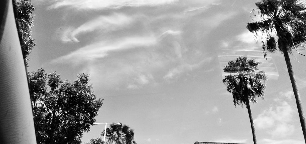 Photograph by Photographer boi