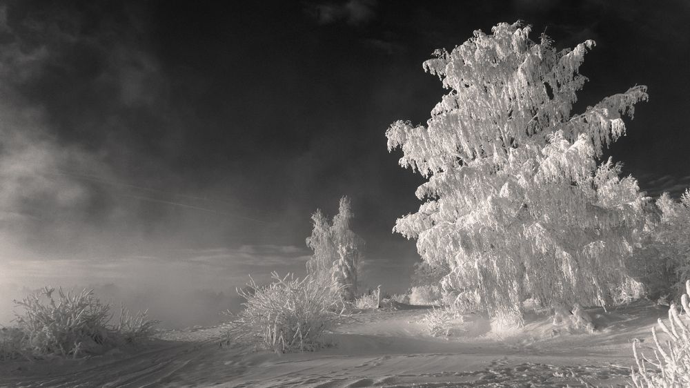 Photograph by Александр Рудный