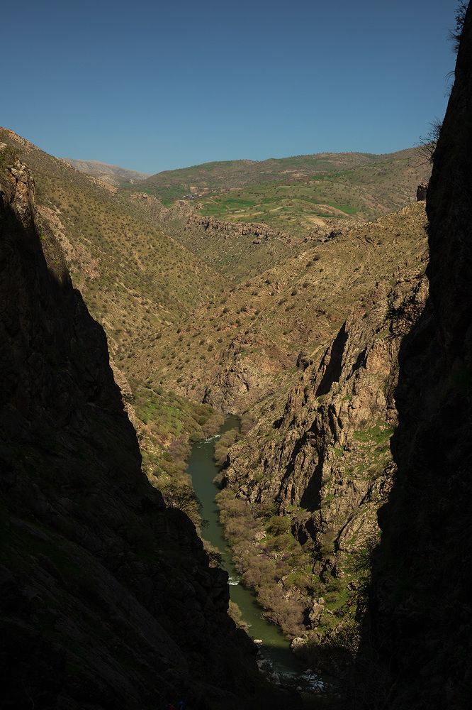 Photograph by shahoo moradi