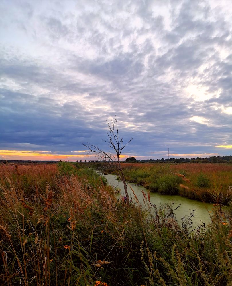 Неизвестная речушка