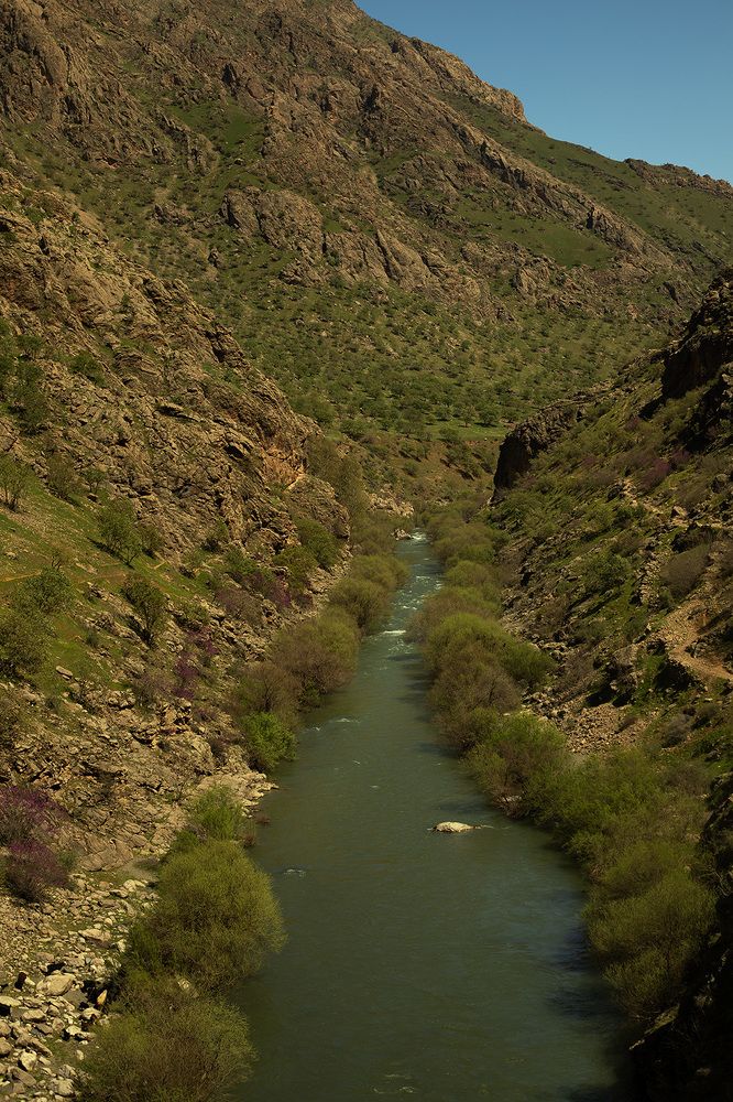 Photograph by shahoo moradi