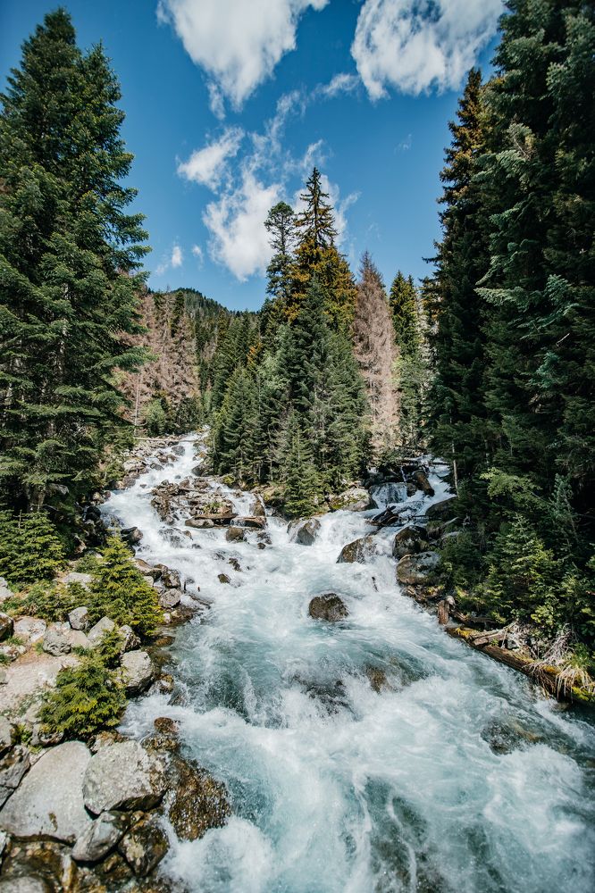 Photograph by Анастасия Сауль