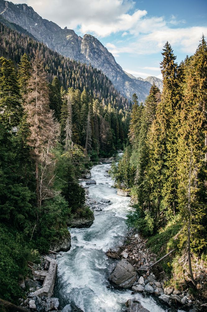 Photograph by Анастасия Сауль