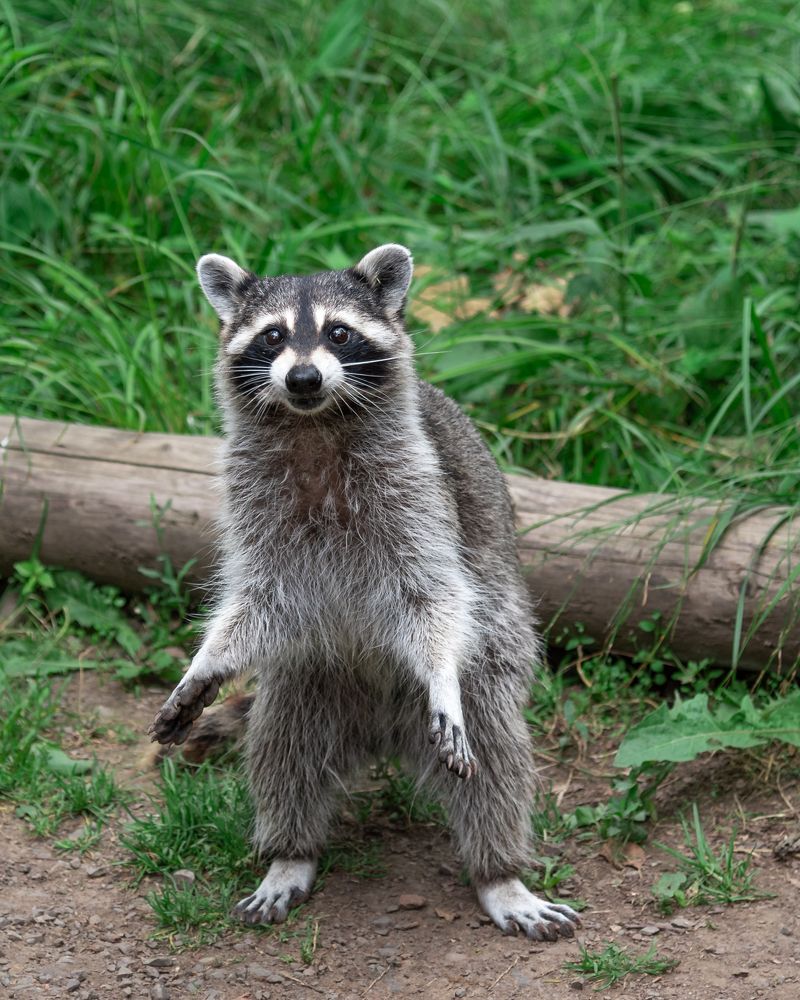 Photograph by Константин Костин