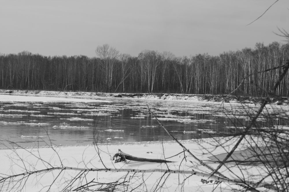 Photograph by Anna Sokolova