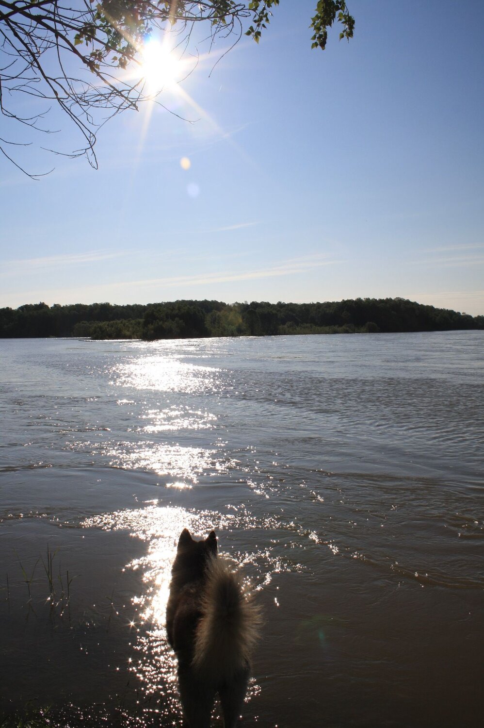 Photo #6307165