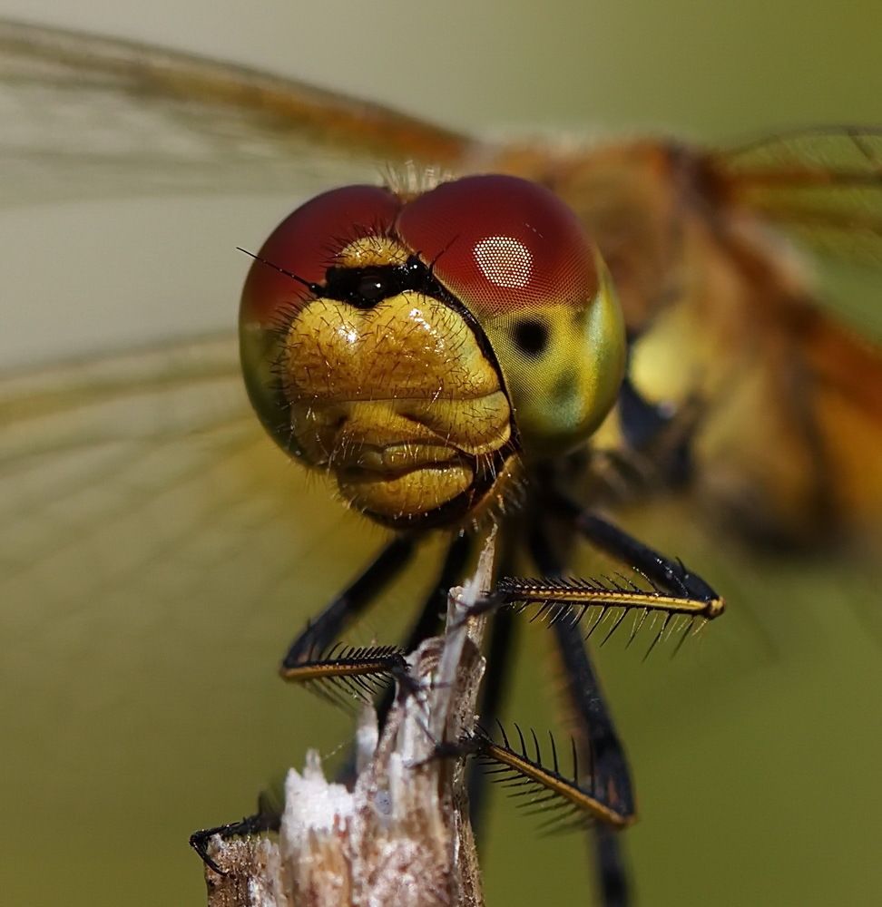 Photograph by Анатолий Васильев