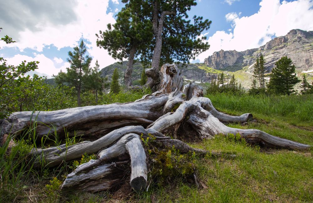 Photograph by Константин Искучеков