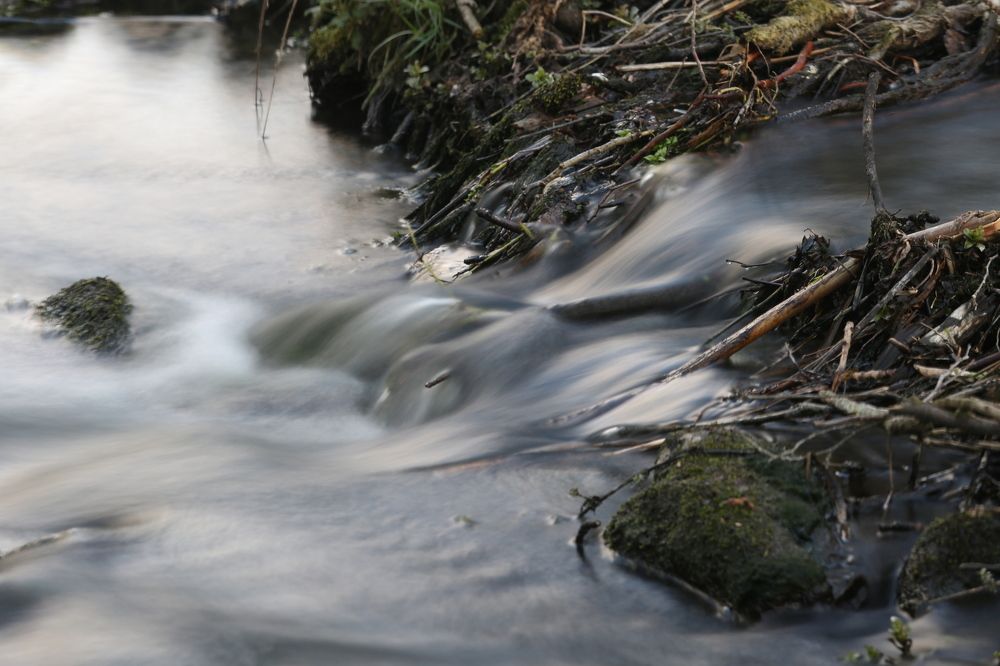 Фотография автора Andrzej