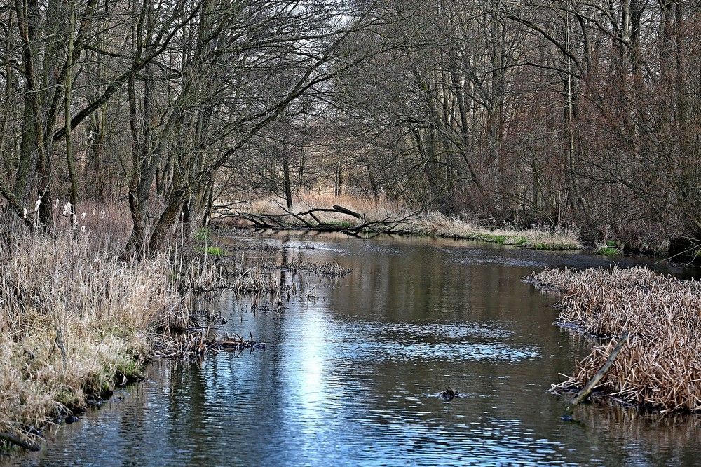 Фотография автора Andrzej