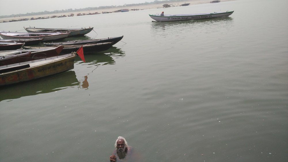 Photo #6307217