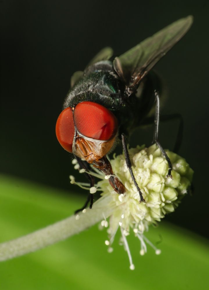 Photograph by Dhruv Shilpi