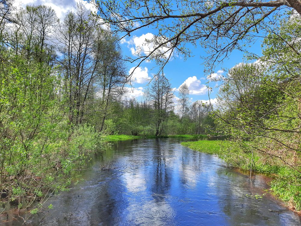 Photograph by Михаил Рассказ