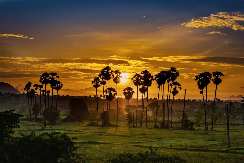 The Sunrise of Countryside